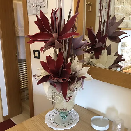 酒店 帕拉吉纳酒店 加尔尼亚诺